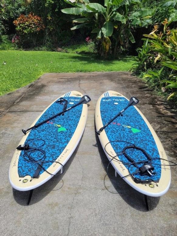 Newly Renovated Condo With Sup Paddle Boards And Golf Clubs Included Kailua-Kona Extérieur photo