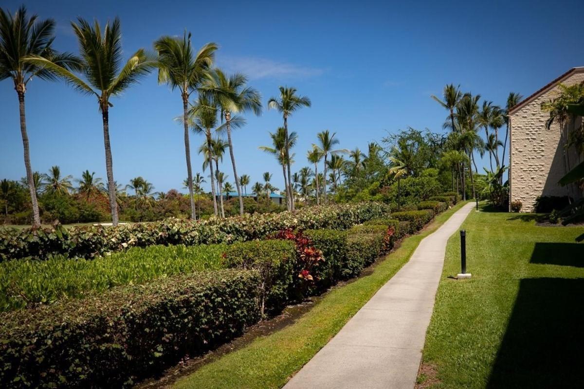 Newly Renovated Condo With Sup Paddle Boards And Golf Clubs Included Kailua-Kona Extérieur photo