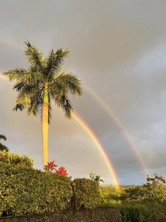 Newly Renovated Condo With Sup Paddle Boards And Golf Clubs Included Kailua-Kona Extérieur photo
